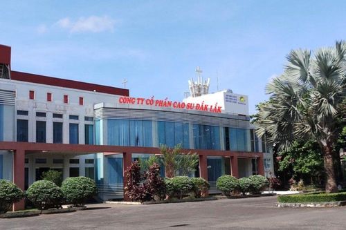 Công ty CP Cao su Đắk Lắk nợ thuế, người lao động, phúc lợi 162 tỷ