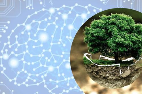 Sự bùng nổ của AI dẫn tới những nguy cơ tiềm ẩn về môi trường