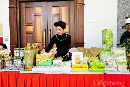 Kết nối giao thương sản phẩm hàng hóa vùng đồng bào dân tộc thiểu số tỉnh Bắc Kạn