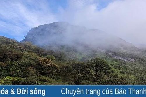 'Khu vườn cổ tích' Tả Liên Sơn (2996m) - Checked!