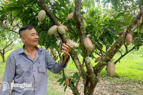 Ngành Nông nghiệp tập trung hỗ trợ phát triển sản xuất