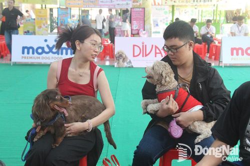 Hàng trăm thú cưng tham gia ngày hội Pet Perfect