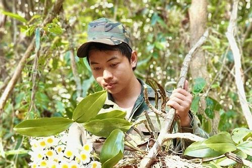Mưu sinh dưới tán rừng