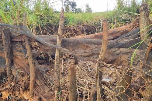 Dân làng Bla Trek mong muốn kênh mương được kiên cố hóa