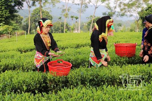 Võ Nhai thực hiện hiệu quả các chính sách dân tộc