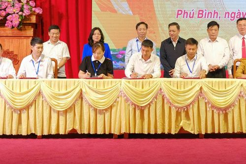 Kết nối tiêu thụ nông sản giữa các doanh nghiệp, HTX