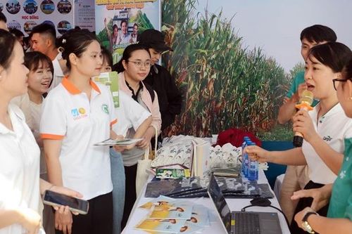 Tỷ lệ sinh viên tốt nghiệp có việc làm phù hợp ngày càng cao