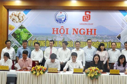 Mở rộng thị trường cho sản phẩm OCOP Tây Ninh vươn xa