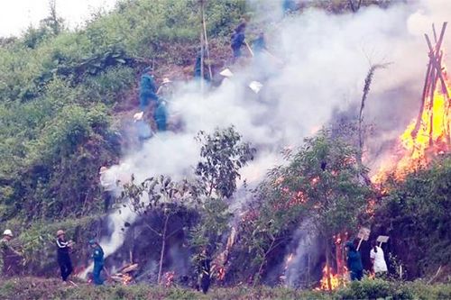 Lào Cai chủ động các phương án phòng, chống cháy rừng và tìm kiếm cứu nạn
