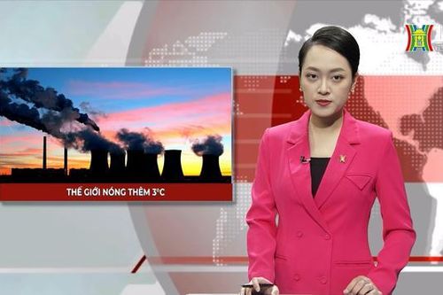 Thế giới đang nóng lên 3 độ C| Nhìn ra Thế giới| 25/11/2023