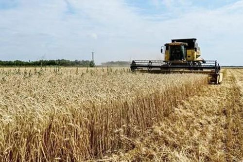 Tia hy vọng cho nền nông nghiệp Ukraine