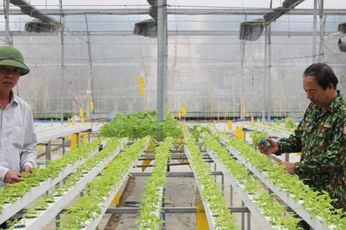 Phát triển chuỗi sản xuất rau an toàn ở Thanh Trì