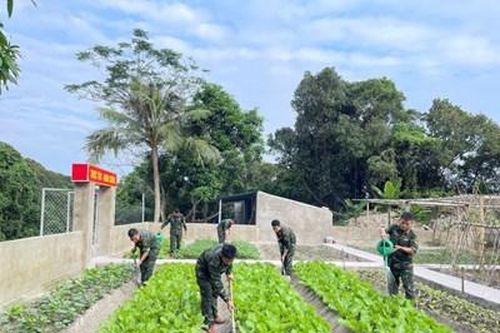 'Thực túc binh cường' ở Đảo Mắt