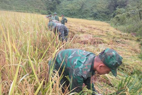 Đề nghị nâng tuổi phục vụ tại ngũ của sĩ quan