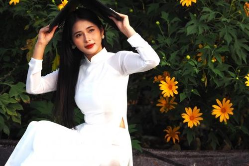 Hoa dã quỳ khoe sắc vàng rực rỡ giữa lòng Thủ đô Hà Nội