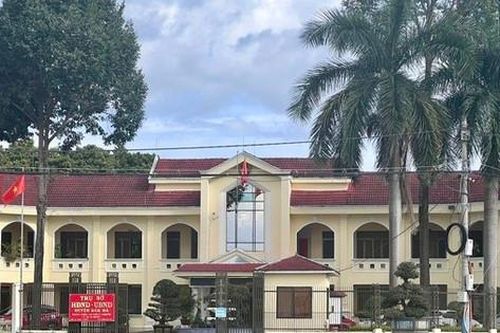 Điểm nhấn giáo dục: Vì sao nhiều hiệu trưởng, hiệu phó nghỉ việc chỉ trong 2 tháng?