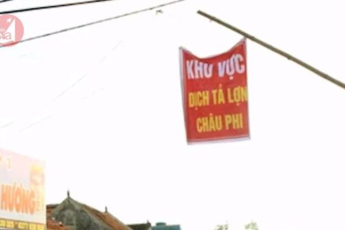 Điểm tin ngày 26/11