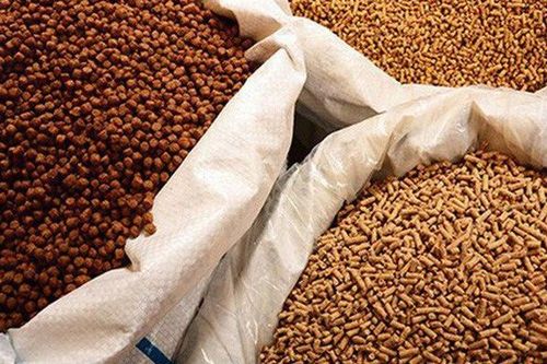 Xuất khẩu thức ăn gia súc và nguyên liệu đạt tỷ USD