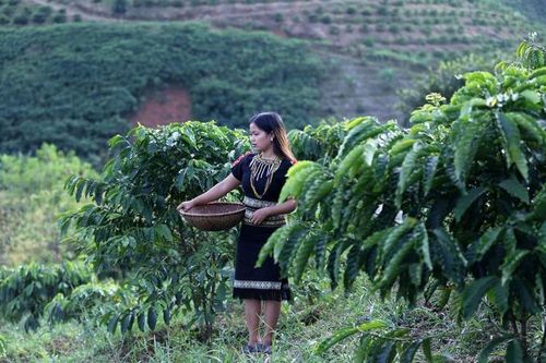 Phụ nữ dân tộc thiểu số thay đổi nếp nghĩ, cách làm trong xây dựng nông thôn mới