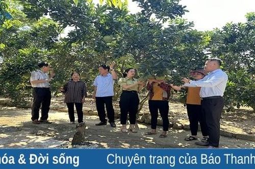 Khi đảng viên tiên phong phát triển kinh tế