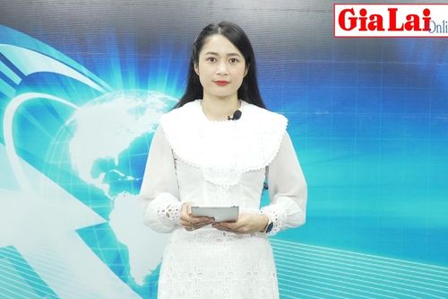 Gia Lai 24h: Nhận làm thủ tục xin cấp Visa để lừa đảo chiếm đoạt tài sản
