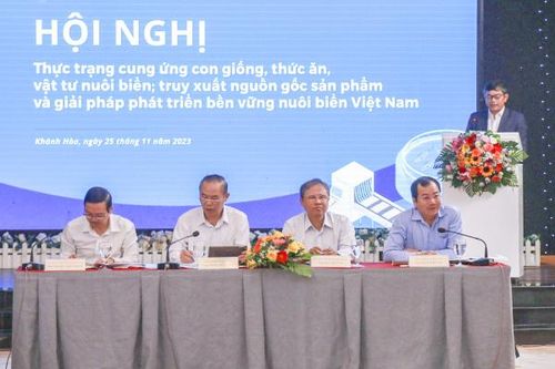 Tìm hướng gỡ khó tiêu thụ tôm hùm bông
