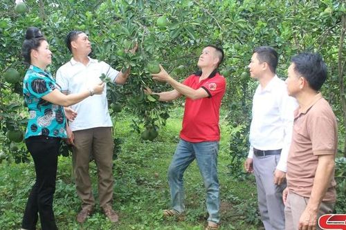 Sông Mã thực hiện tốt quy chế dân chủ ở cơ sở