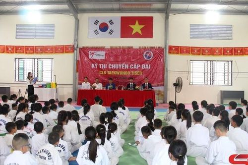 Hơn 200 võ sinh tham gia kỳ thi chuyển cấp đai môn Taekwondo