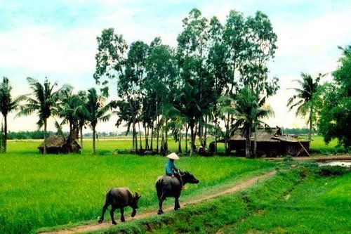 Nghĩa tình gửi những miền quê