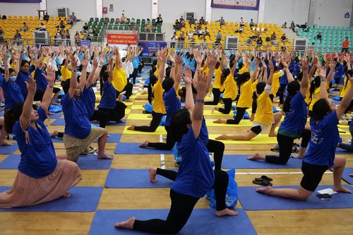 Hơn 700 mẹ bầu tham gia đồng diễn yoga ở TP.HCM