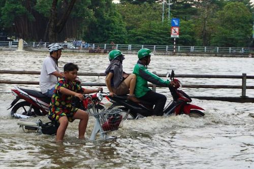 Người dân TPHCM cần biết ngay về đợt triều cường lên cao cuối tháng 11