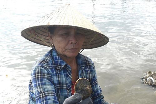 Nhọc nhằn nghề 'đục đá tìm hàu' ven sông Trường Giang