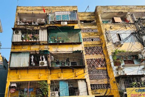 Hải Phòng: Trong tháng 12/2023 phải tháo dỡ xong lồng sắt, chuồng cọp
