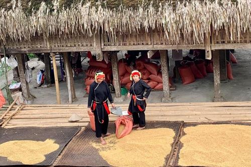 Hà Giang: Huyện Quang Bình tạo sinh kế cho bà con dân tộc thoát nghèo