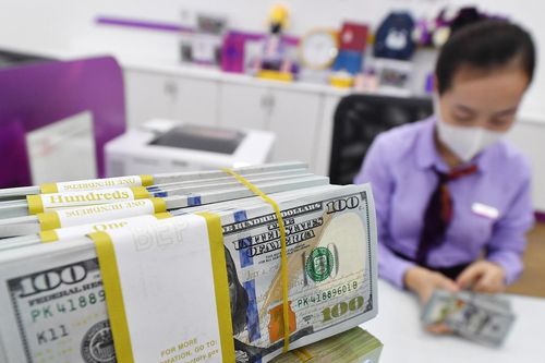 Lãi suất giảm sâu, tiền tiết kiệm vẫn chảy vào ngân hàng cao kỷ lục