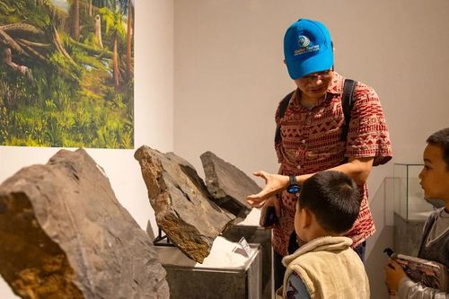 Chiêm ngưỡng bộ sưu tập hóa thạch lịch sử Trái Đất tại Bảo tàng Hà Nội