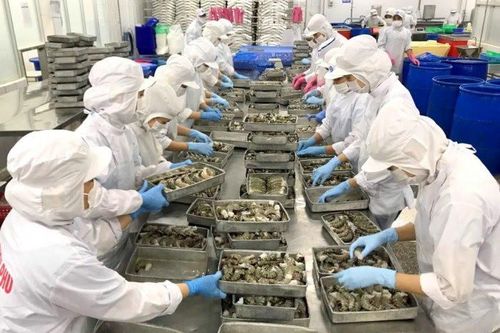 11,5 triệu cổ phiếu Thủy sản Bạc Liêu sắp bị hủy niêm yết
