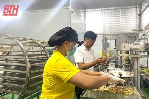 Để sản phẩm OCOP phát triển hài hòa giữa lượng và chất (Bài 1): Không nên vì số mà coi nhẹ sao