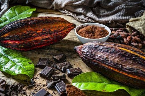 Giá ca cao gần mức cao nhất trong 50 năm qua