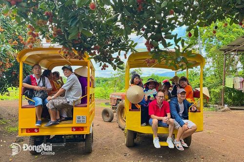 Tổ hợp tác làm du lịch sinh thái vườn