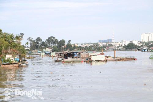 TP.Biên Hòa bàn giao mặt bằng thi công cầu Thống Nhất