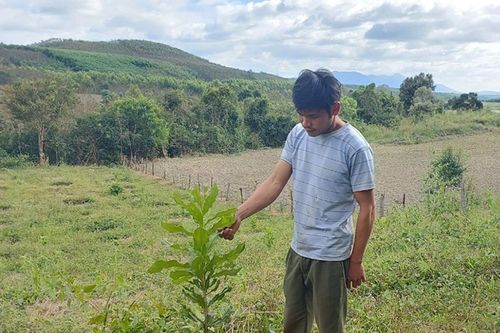 Mang Yang ưu tiên đầu tư vùng dân tộc thiểu số