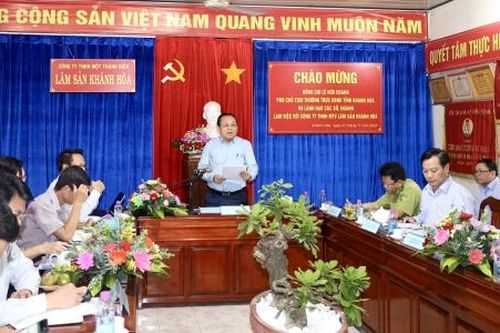 Công ty Lâm sản Khánh Hòa khẩn trương báo cáo UBND tỉnh phương án kinh doanh dưới tán rừng