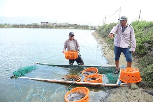 Chương trình mục tiêu quốc gia phát triển kinh tế - xã hội vùng đồng bào dân tộc thiểu số và miền núi tỉnh Khánh Hòa năm 2023 Cam Ranh: Dồn lực cho công tác giảm nghèo