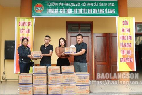 Hội Nông dân tỉnh: Hỗ trợ nông dân Hà Giang tiêu thụ hơn 4,5 tấn cam vàng