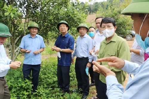 Điện Biên: Tốc độ tăng trưởng GRDP giai đoạn 2021-2023 ước đạt 9,33%/năm