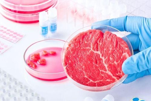 Bước lùi đầu tiên của thịt nhân tạo ở châu Âu