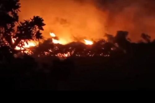 Yên Bái: 7 nghìn m2 rừng trồng sản xuất bị thiêu rụi do đốt nương