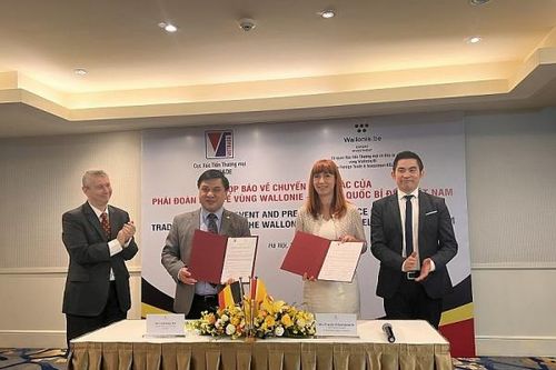 Doanh nghiệp Bỉ tìm kiếm cơ hội hợp tác đầu tư, hợp tác với doanh nghiệp Việt