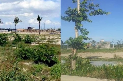 'Hô biến' 88 lô biệt thự thành 233 lô đất ở liền kề, chiếm đoạt hơn 8 tỷ đồng